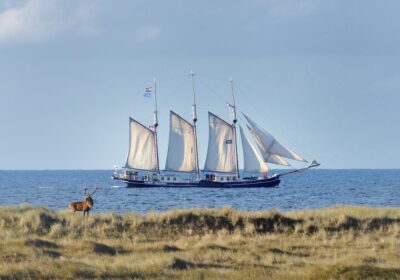 Mitsegeln auf der Albert Johannes entlang Naturschutzgebieten