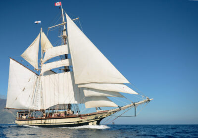 Florette-in-Full-Sail-Blue-Sky2