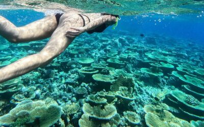 Snorkelen in de Caraïben