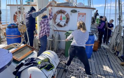 Samen in een team de zeilen zetten