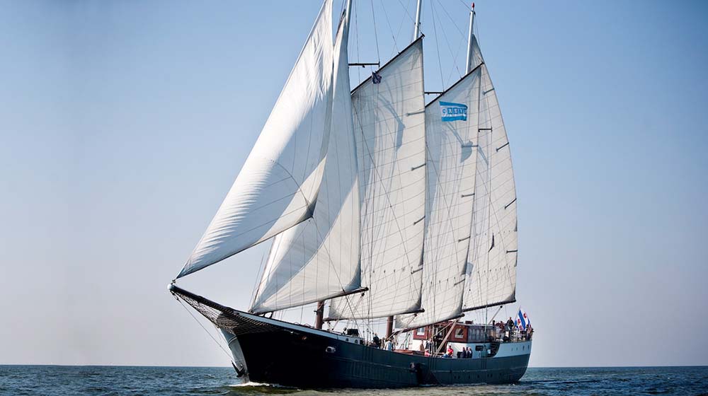 Segelschiff Mare fan Fryslan