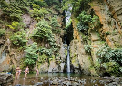 Zeil naar Madeira en ontdek natuur puur