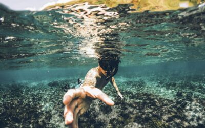 Snorkelen tijdens een zeilreis met de Twister