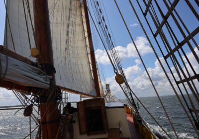 Albert Johannes zeilend