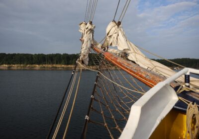 Het kluivernet van de Albert Johannes