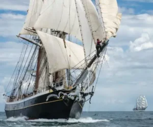 Beleef een actieve zeilreis als trainee