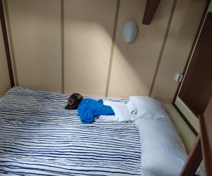 Scheepshut tijdens zeilreis Antarctica met tweepersoonsbed