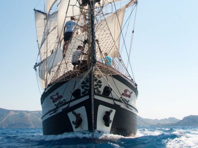 Florette-bow-sailing2 (1)