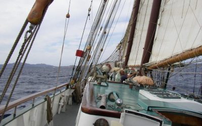 Meezeilen op Tallship Sir Robert