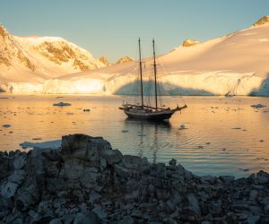 Groepszeilreis Antarctica door ijszeeën en spectaculaire poollandschappen”