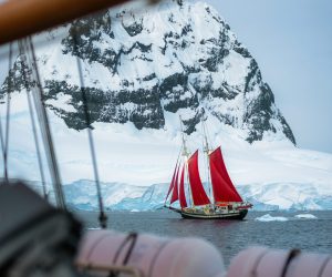 Zeilschip in Antarctica tijdens poolreis door ijskoude wateren