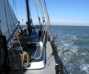 Ga zeilen op de Waddenzee met de Aagtje